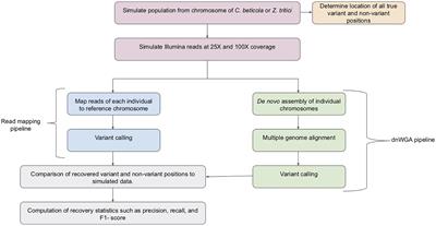 On Variant Discovery in Genomes of Fungal Plant Pathogens